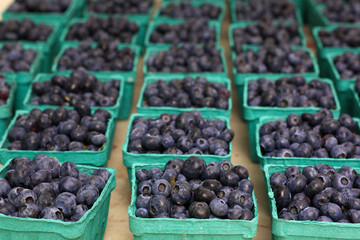Blueberry Baskets