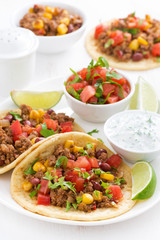 Mexican snack - tortilla with chili con carne, tomato salsa