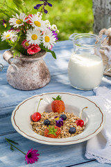 Fresh fruit with oat flakes and milk