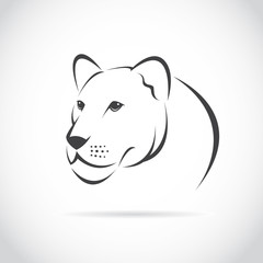 Vector image of an female lion head