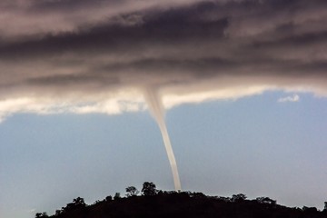 twister