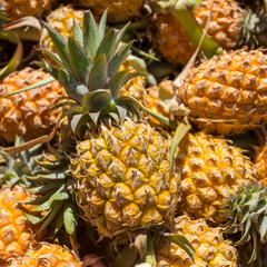 A pile of ripe pineapples