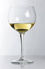 glass with white wine