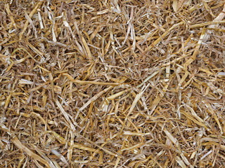 Yellow straw texture for background