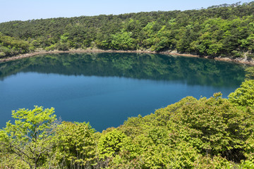 霧島の不動池と新緑