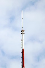 Obraz premium antenna for transmission and reception of radio signals of polic