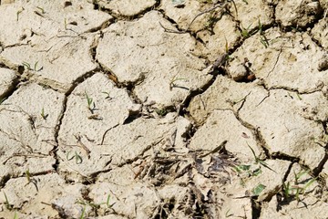 soil without water during the DROUGHT in the country