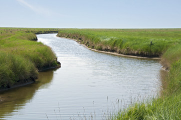 Fototapeta premium Creek on the Hallig Langeneß in the Wadden Sea
