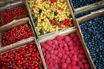 berries,raspberry,currant,blueberry