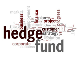 Hedge fund word cloud