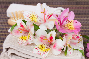 Fototapeta na wymiar spa setting with alstroemeria flowers