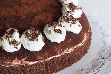Tiramisu Torte isoliert als Freisteller