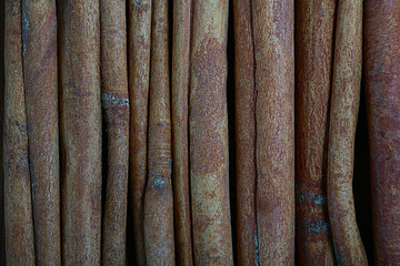 cinnamon aroma texture