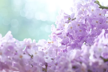 Schilderijen op glas lilac flowers macro background © kichigin19