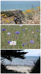 Triptyque maritime