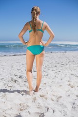 Fototapeta na wymiar Rear view of fit woman in bikini standing on beach