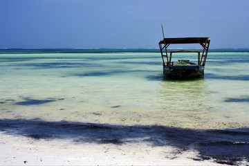 beach seaweed and boat in tanzania