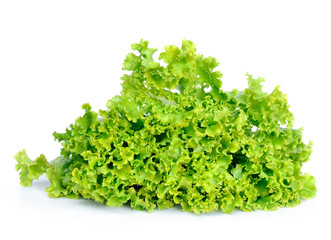 Obraz premium Fresh green lettuce isolated on a white