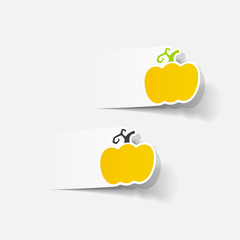 realistic design element: pumpkin