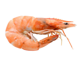 Boiled shrimp isolated on white