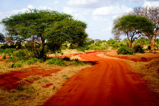 Fototapeta African road