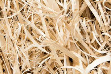 bamboo scraps