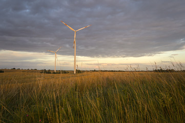 Wind turbines in fields of grain, Germany