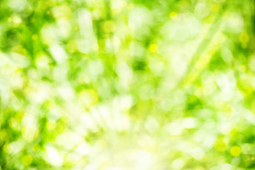 Obraz premium Abstract summer background with sunlight