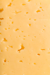 background of fresh cheese. macro