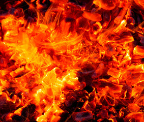 Campfire with burning firewood on foreground closeup