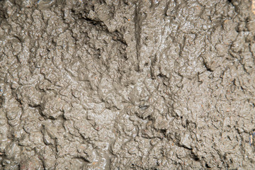 Background of the fresh cement solution