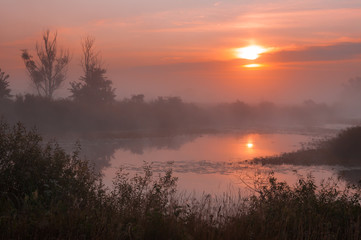 Fototapeta na wymiar Sunrise over the lake with reflection 