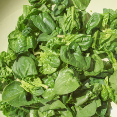 Spinach leaves