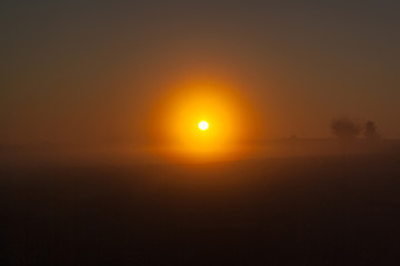 Obraz premium Sunrise over a field in the fog