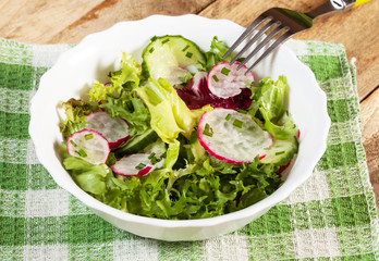 Salad with radish and green cucumber