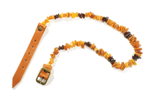 Dog collar from Baltic amber isolated on the white background