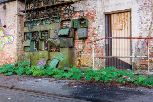 Vegetation DDR Fabrikhalle
