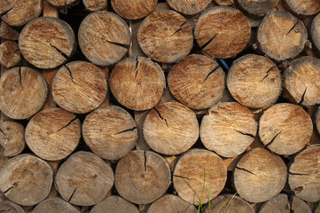 Background of dry chopped firewood logs stacked up on top