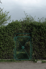 Fototapeta premium Gate to the garden