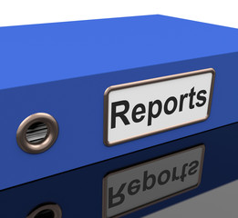 File Report Indicates Information Files And Data