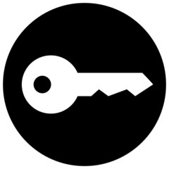 Key in circle vector icon