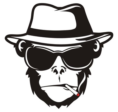 MONKEY HEAD SMOKE