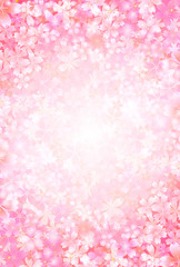 桜　花　背景