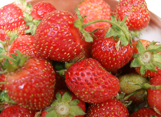 Much berries strawberries