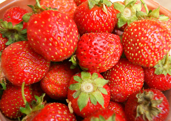 Tasty and ripe berry strawberries