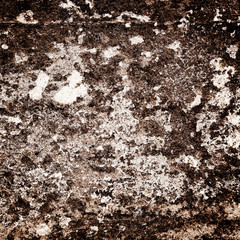 Background series: texture of the wall