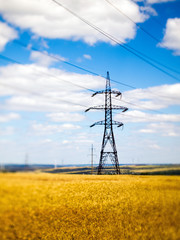 Power lines in the field