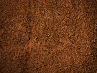 Fotobehang soil dirt texture with some fine grain © wichotland