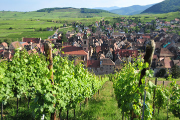 Fototapeta na wymiar France, picturesque village of Riquewihr in Alsace