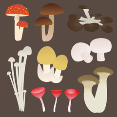 Mushroom Set